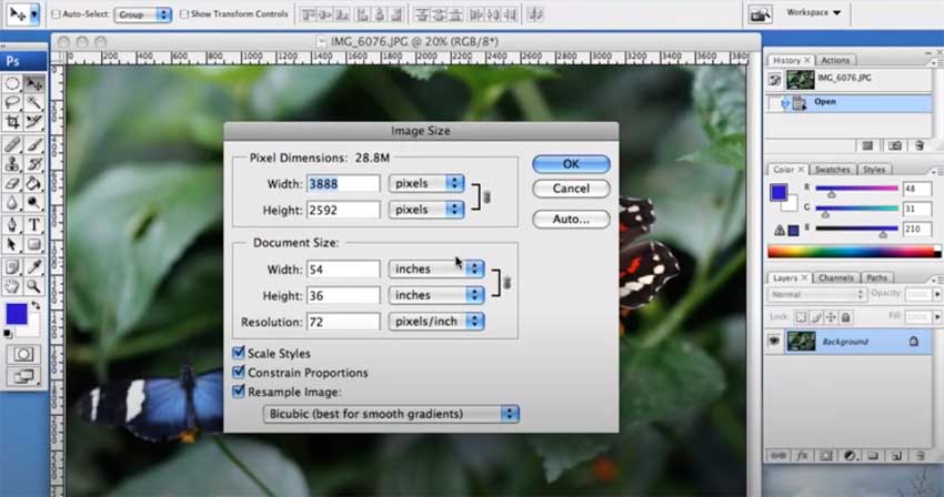 photoshop resizing and cropping