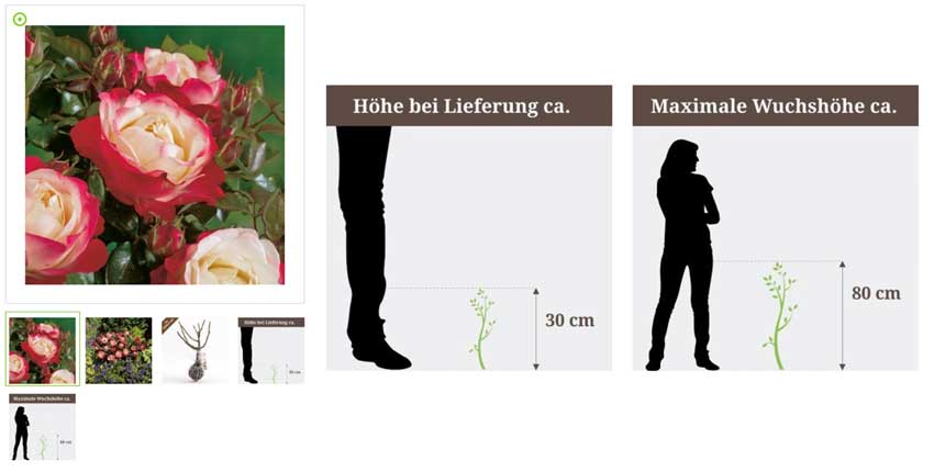 Add-A-Size-Comparison-Within-Your-Product Add A Size Comparison Within Your Product